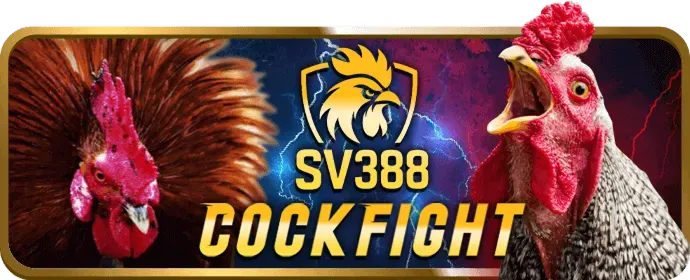 Thưởng nạp lại bl55 code